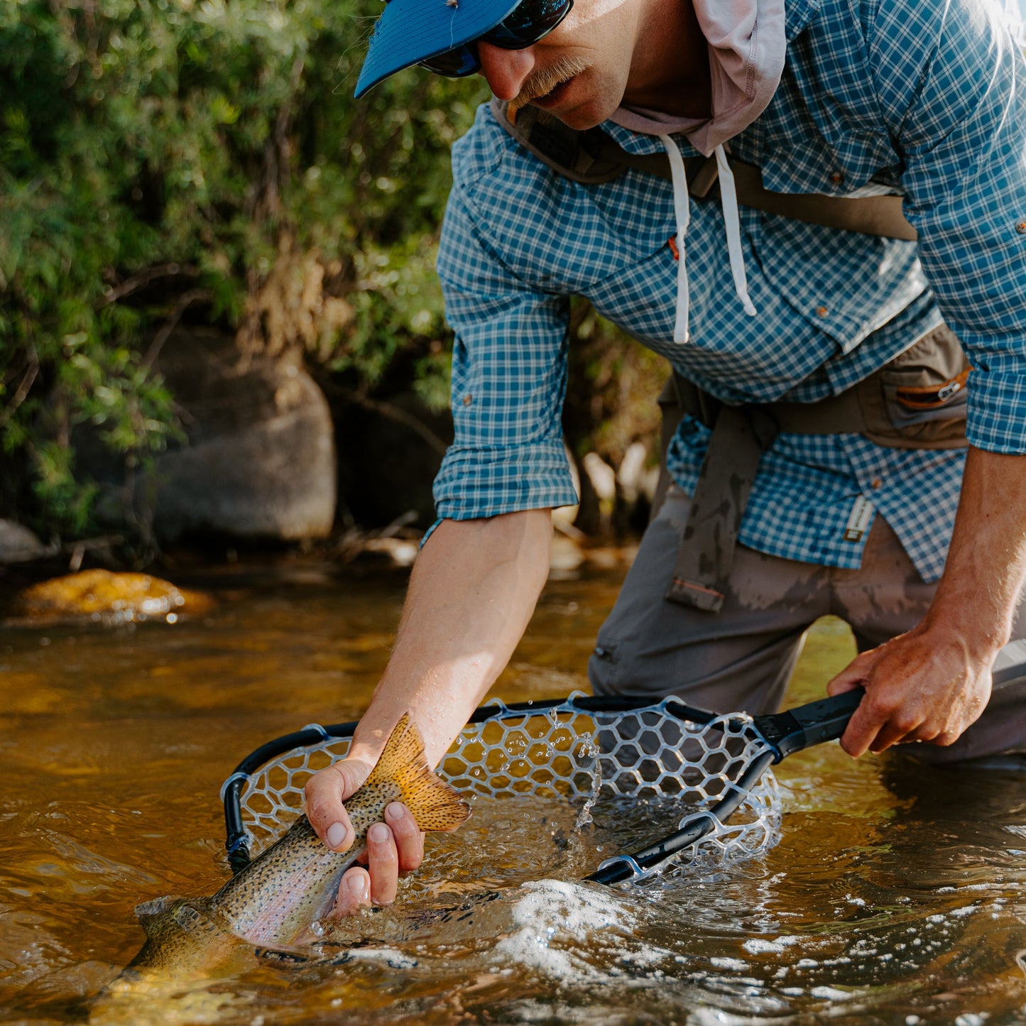 Brookie Net