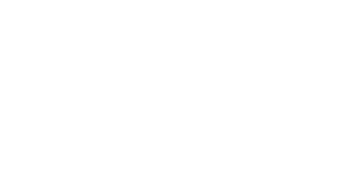 Flylords Store